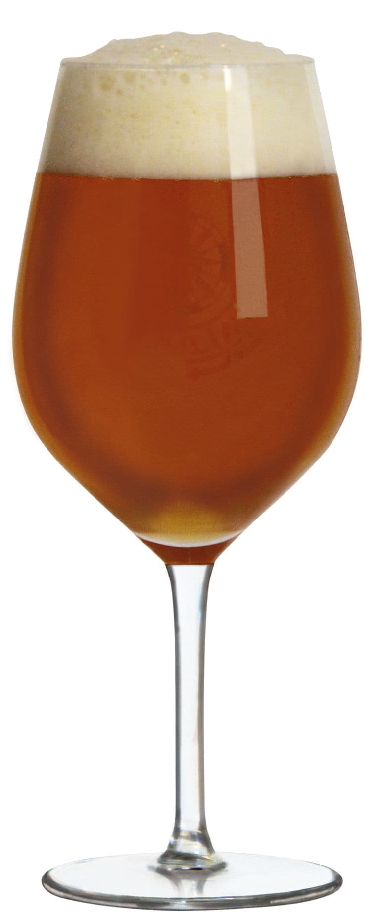IPA Italian Pale Ale Birra Gjulia